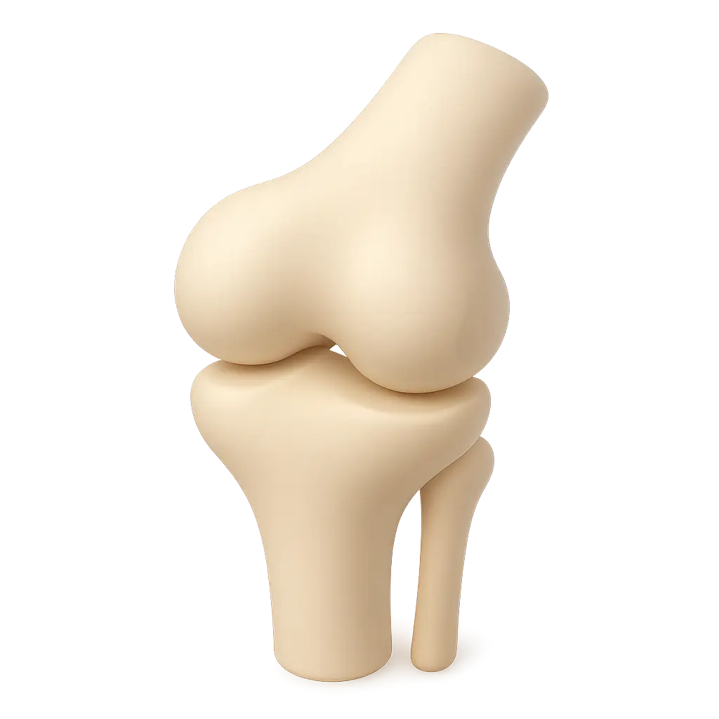 آسیب های زانو